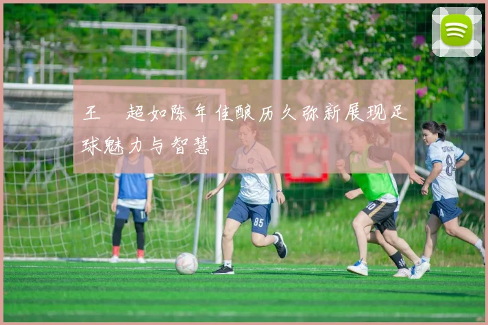 王燊超如陈年佳酿历久弥新展现足球魅力与智慧
