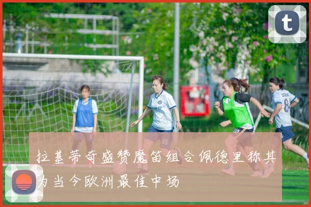 拉基蒂奇盛赞魔笛组合佩德里称其为当今欧洲最佳中场